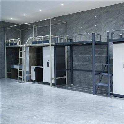 Care este compoziția vopselei cu pulbere de culoare gri?